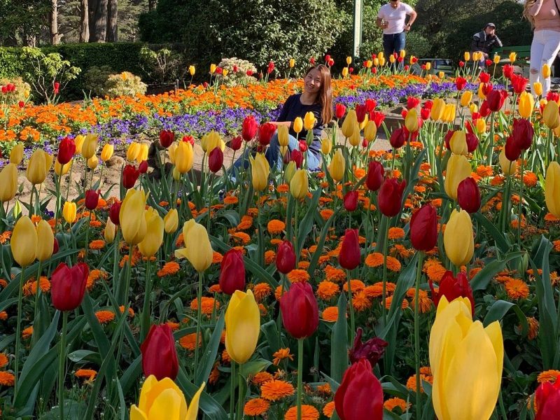 Home Queen Wilhelmina Garden Quiet, Peaceful, Beautiful, Uncrowded Corner of Golden Gate Park